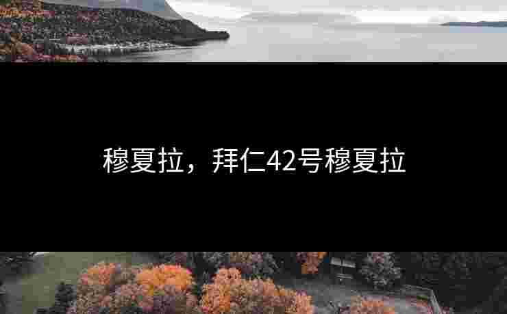 穆夏拉，拜仁42号穆夏拉